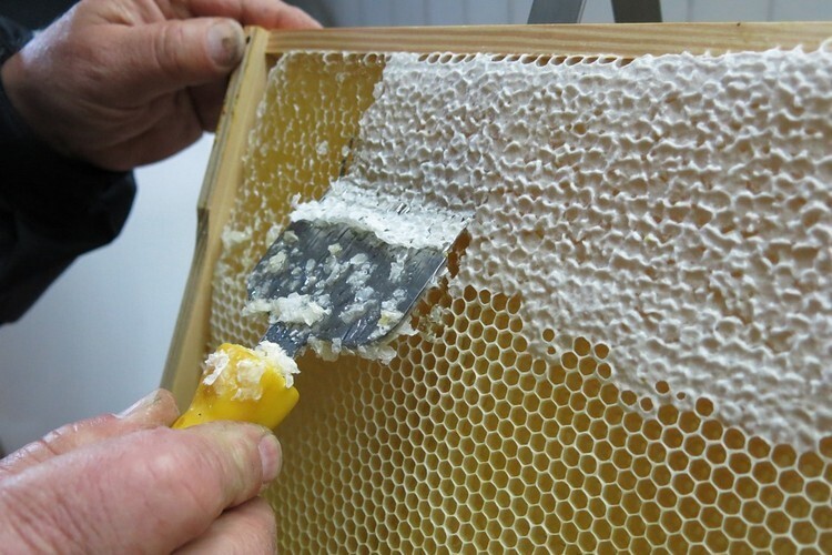 Обработка пчелиных сот